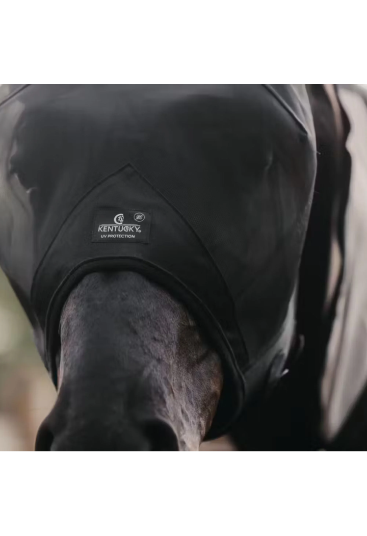 Moskitiera KENTUCKY Classic uszy