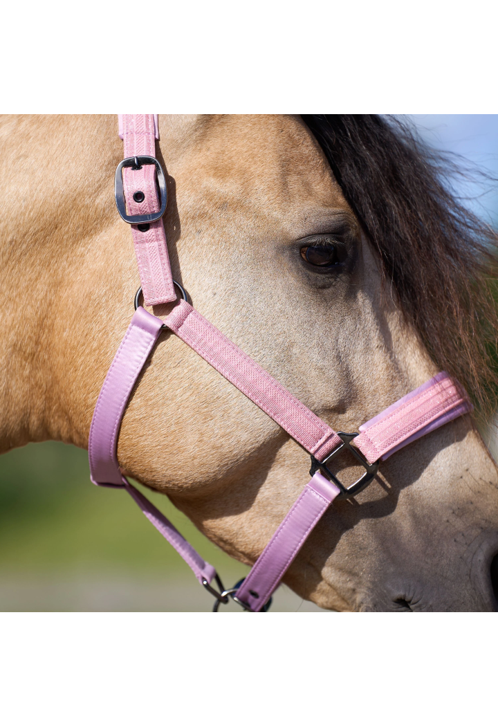 Kantar IR IRHSparkle