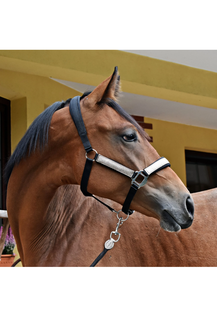 Kantar START NeopreneGlitter2tone