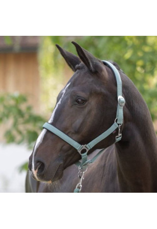 Kantar COVALLIERO Doria