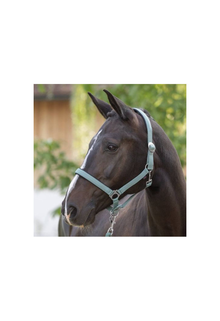 Kantar COVALLIERO Doria