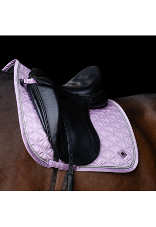 Czaprak IRH Lenny DR