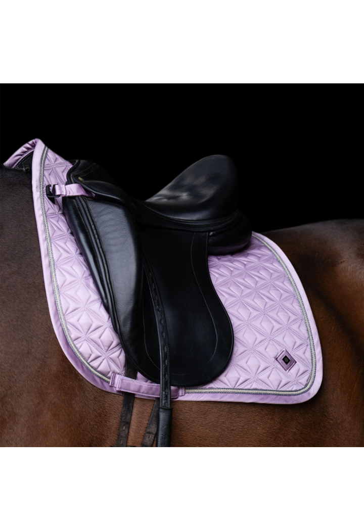 Czaprak IRH Lenny DR