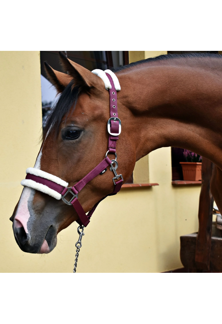 Kantar START MinkPadded