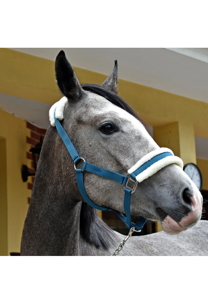 Kantar START MinkPadded