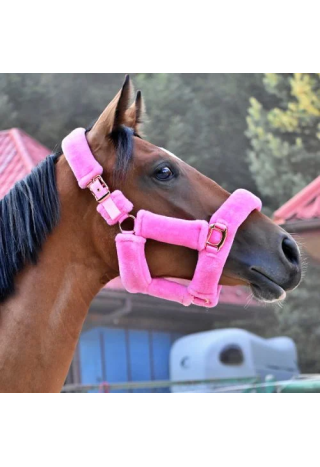 Kantar START Teddy RoseGold