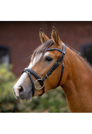 Ogłowie HORZE RainbowDash