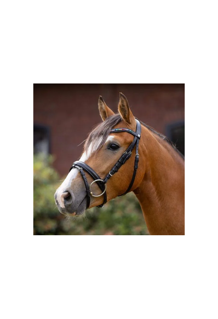 Ogłowie HORZE RainbowDash