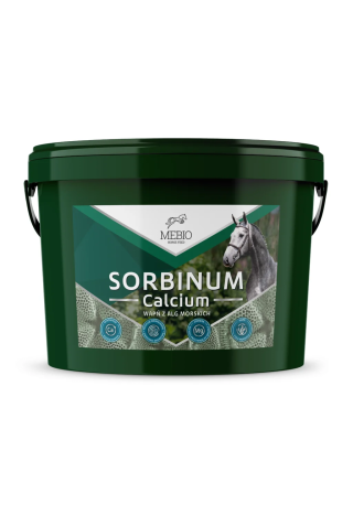 Wapń MEBIO CalciumSorbinum 10kg