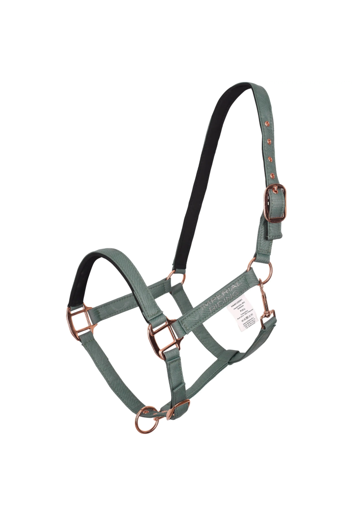 Kantar IR IRHAmbient