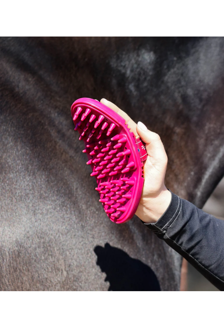 Szczotka PREMIER EQUINE SoftTouch Flexi