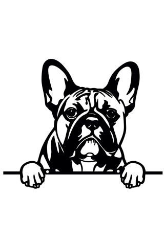 Wieszak metalowy DECORMETAL Bulldog 21cm