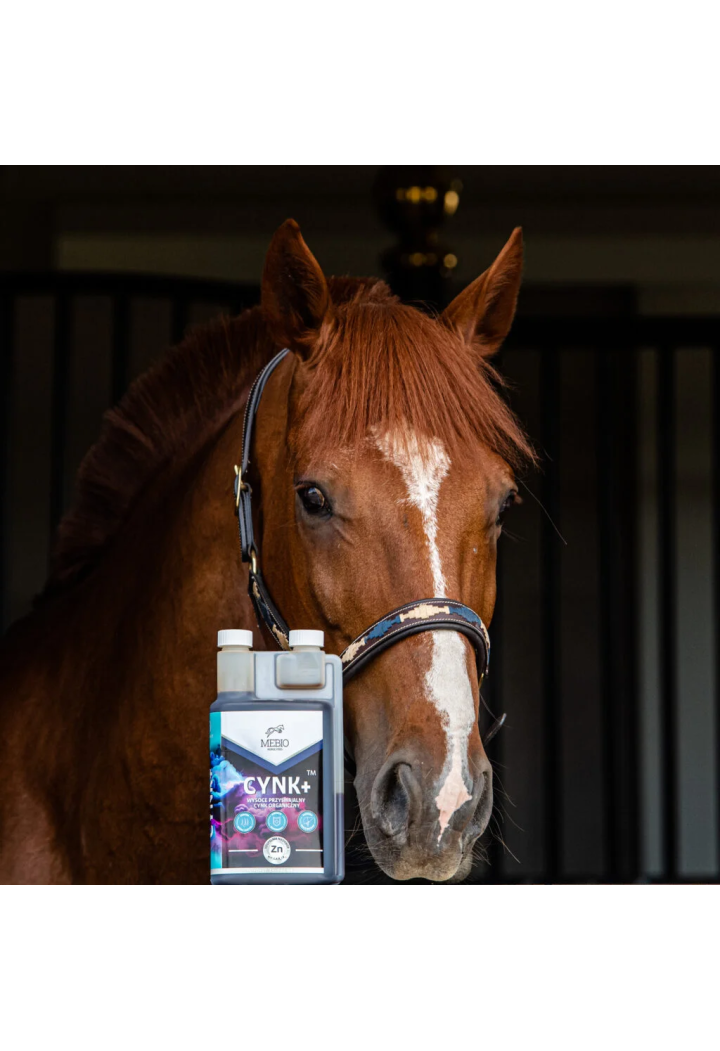 Suplement MEBIO Cynk+ 1l