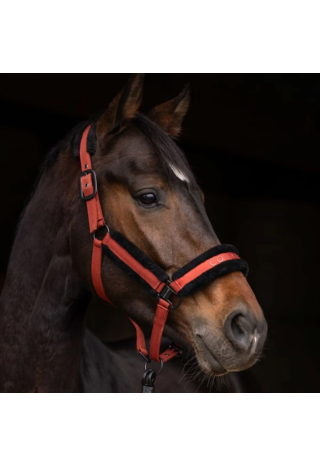 Kantar COVALLIERO 25AW