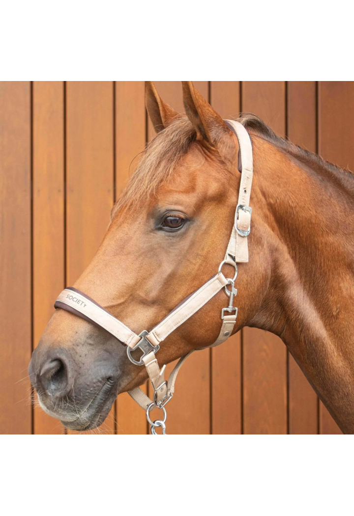 Kantar z uwiązem HH SatinEli 25AW