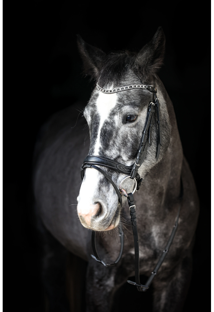 Ogłowie EQ.QUEEN Electra anatomiczne