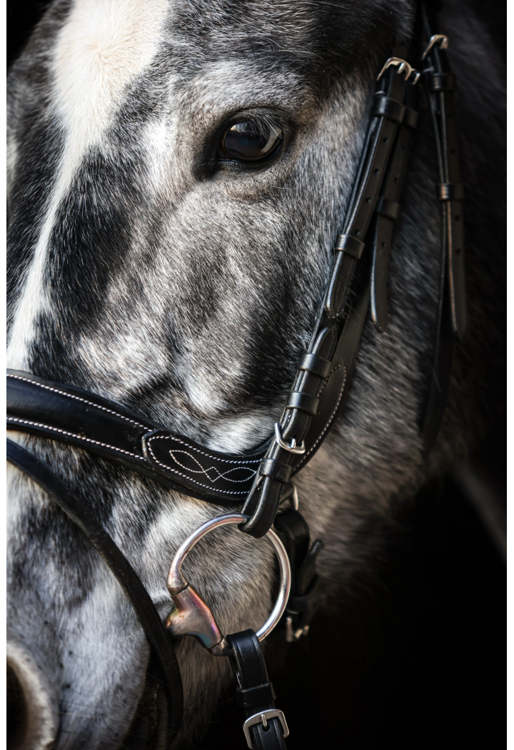 Ogłowie EQ.QUEEN Electra anatomiczne