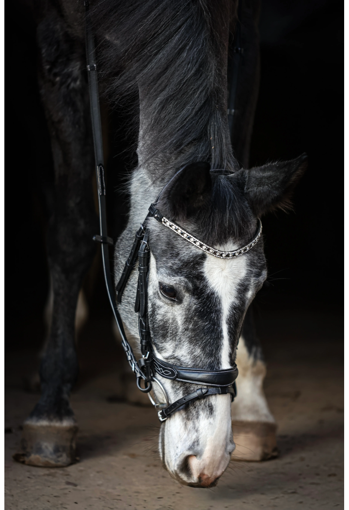 Ogłowie EQ.QUEEN Electra anatomiczne