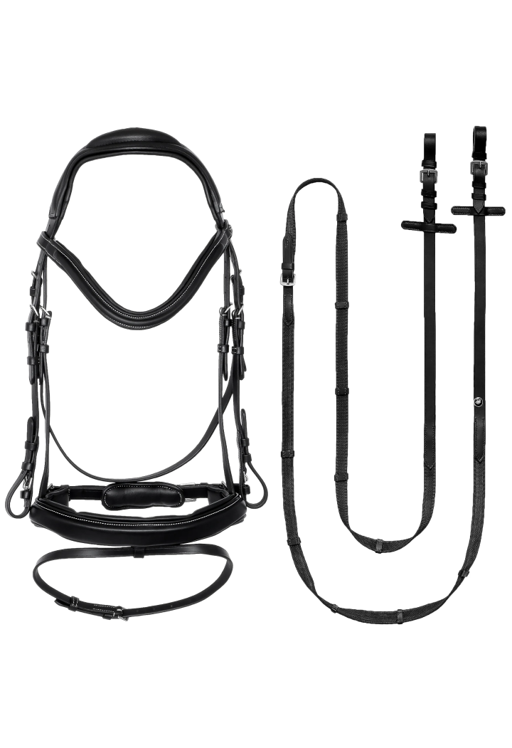 Ogłowie EQ.QUEEN Firebird