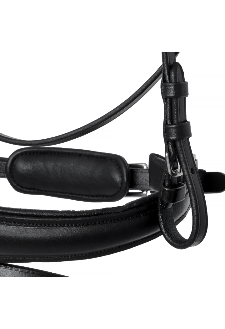 Ogłowie EQ.QUEEN Giant