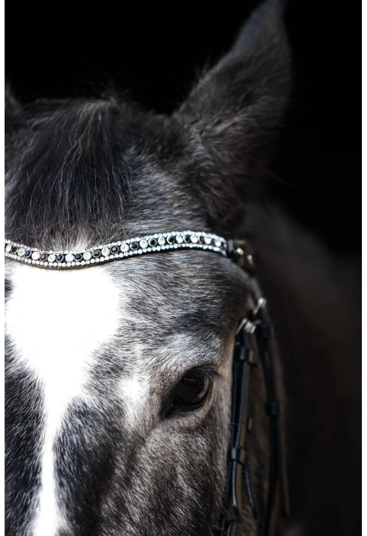 Naczółek EQ.QUEEN Hebe