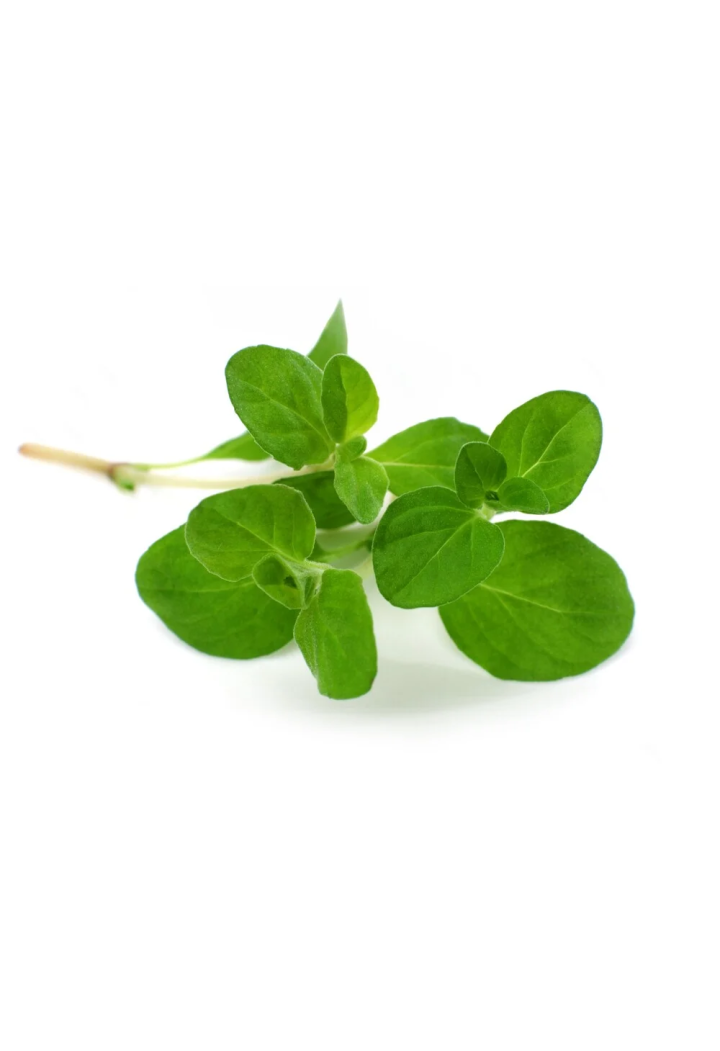 Majeranek EQUIHERBS EKO-torba 1000g