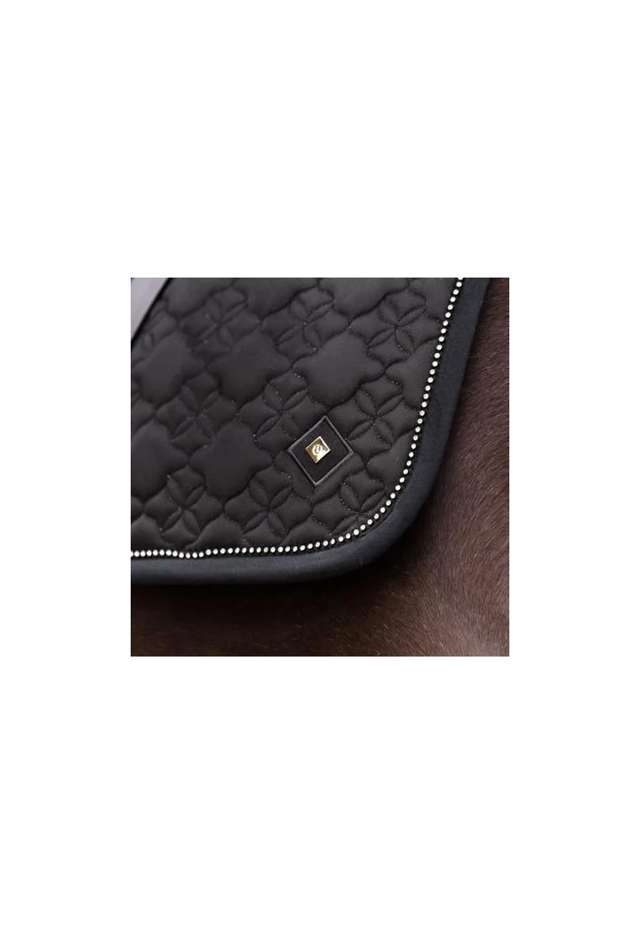 Czaprak IR IRHSimone