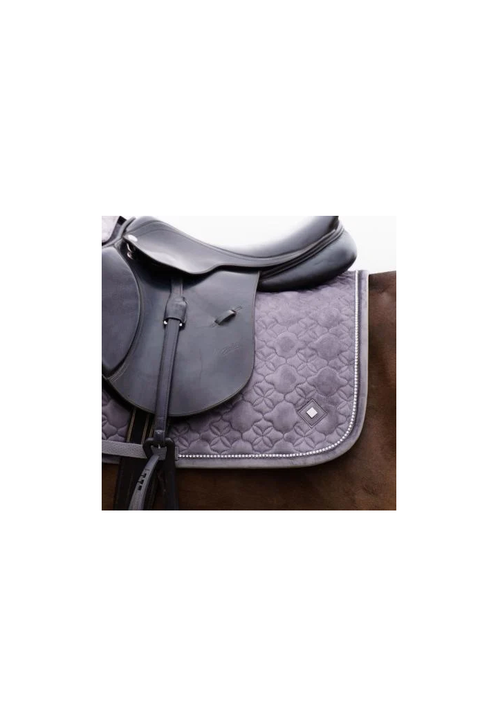 Czaprak IR IRHSimone