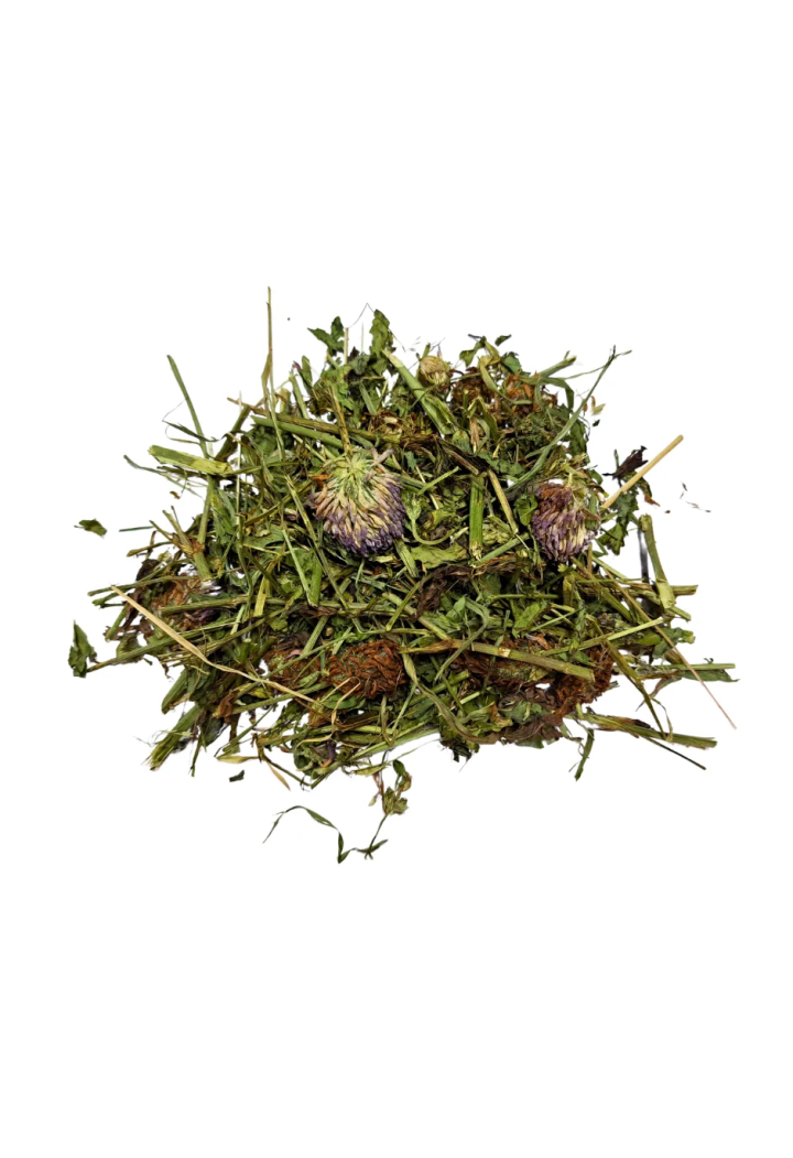 Koniczyna czerwona SAMFARM 1kg