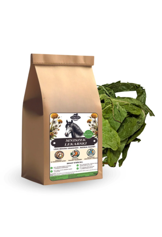 Mniszek lekarski korzeń mielony SAMFARM 500g