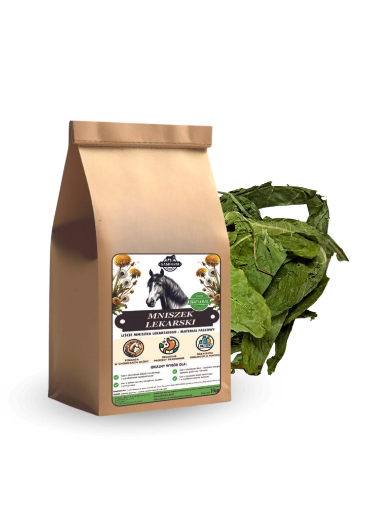 Mniszek lekarski korzeń mielony SAMFARM 500g