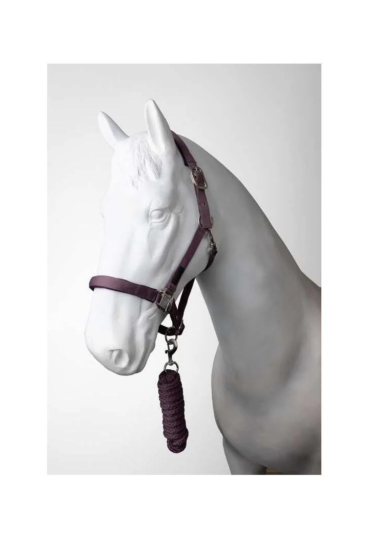 Kantar z uwiązem HORZE Lucca 25AW