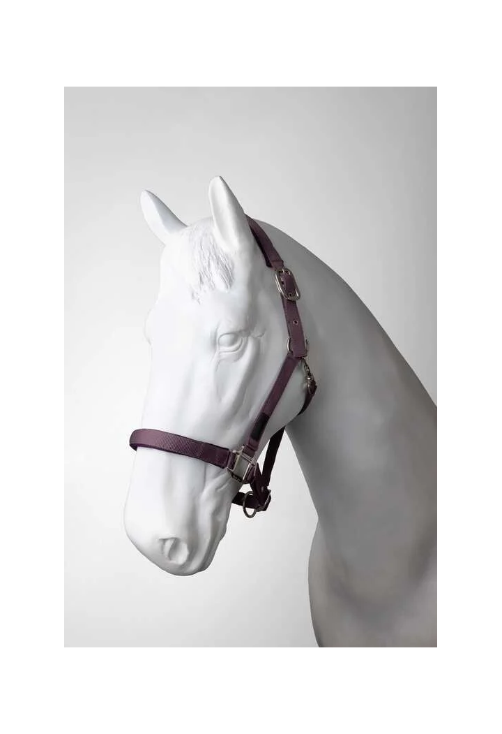 Kantar z uwiązem HORZE Lucca 25AW