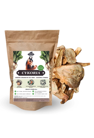 Cykoria chips SAMFARM 500g