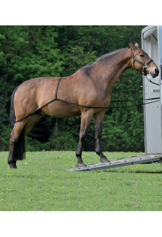 Uwiąz do załadunku WALDHAUSEN