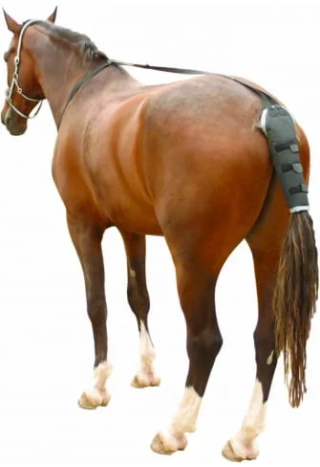 Ochraniacz na ogon KENTAUR TailGuard