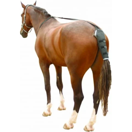 Ochraniacz na ogon KENTAUR TailGuard