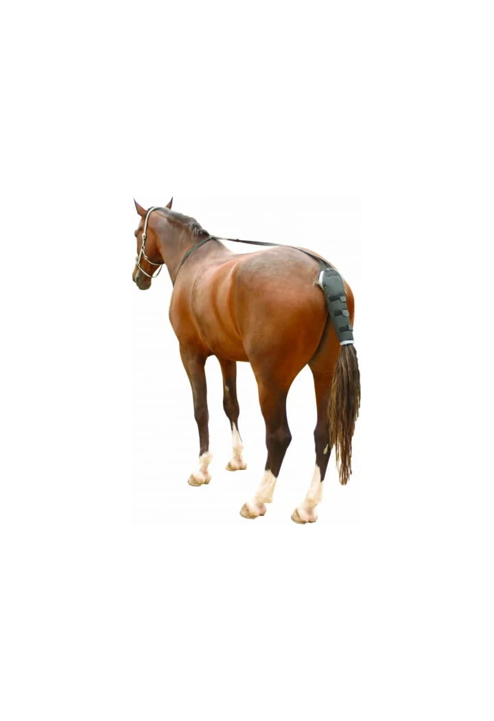 Ochraniacz na ogon KENTAUR TailGuard