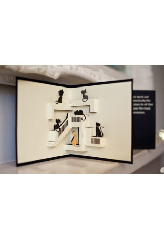 Kartka okolicznościowa CARDOLOGY Cats