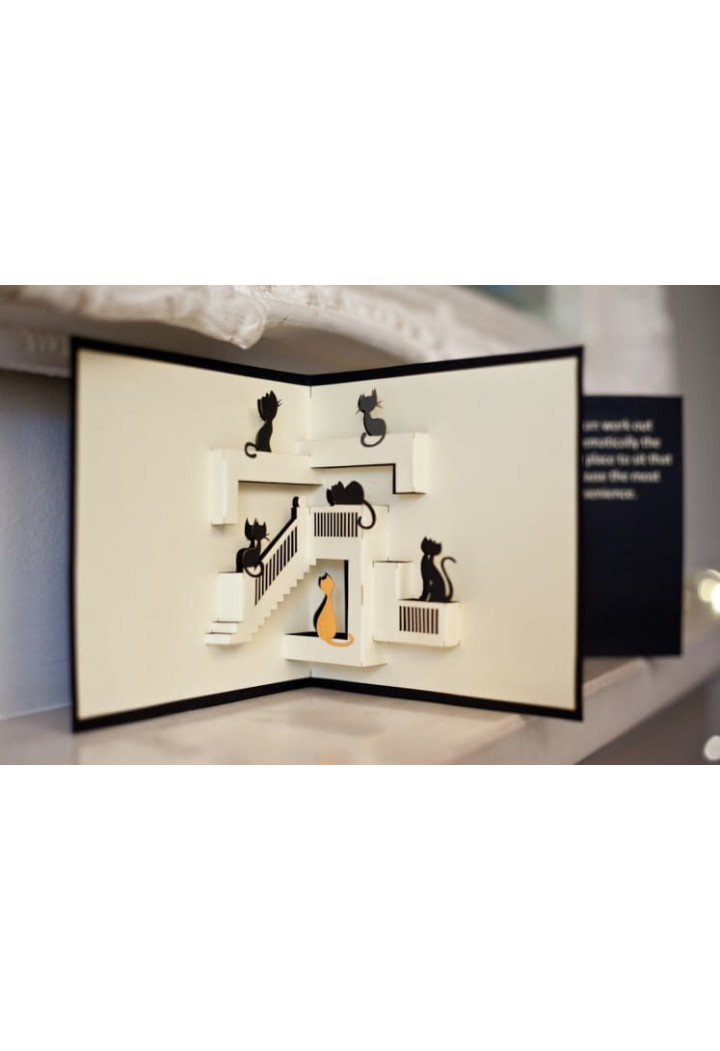 Kartka okolicznościowa CARDOLOGY Cats