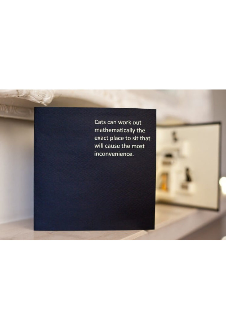 Kartka okolicznościowa CARDOLOGY Cats