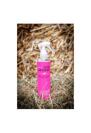 Nabłyszczacz do sierści YYH High Glossy 100ml