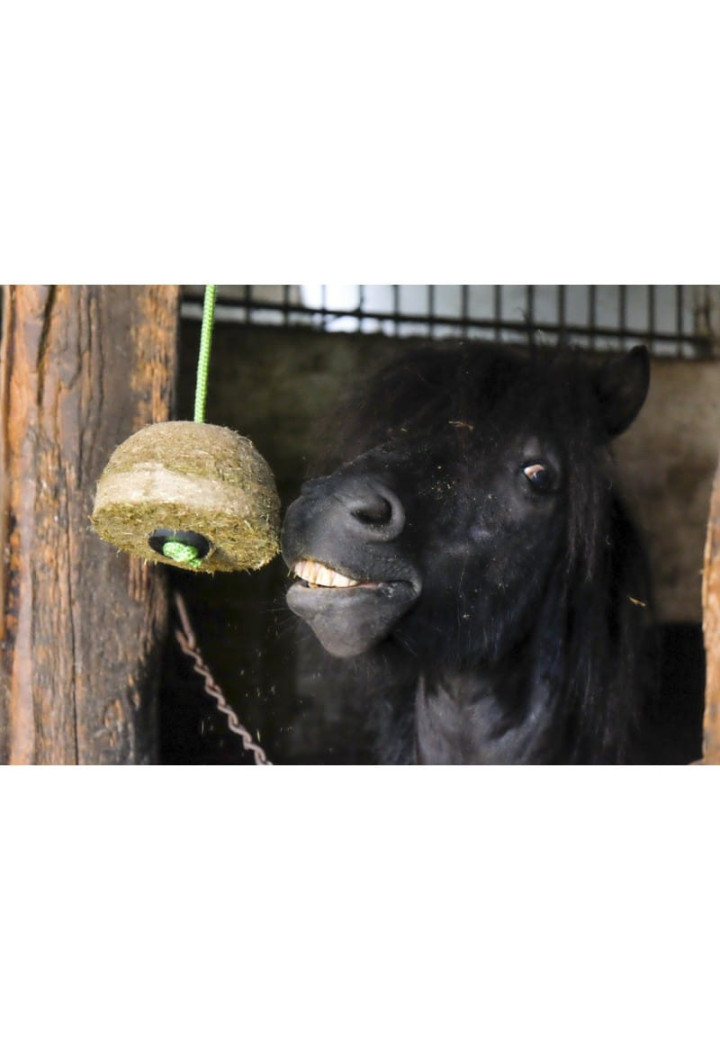 Prasowane siano HIPPO-TONIC HayBlock marchewka 1kg