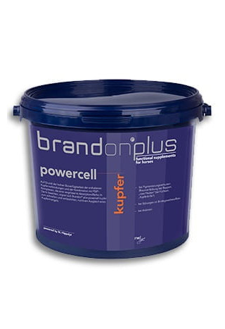 Suplement ST.HIPPOLYT Brandon+ Powercell Miedź 3kg