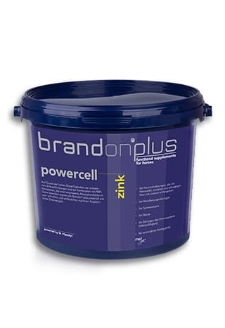 Suplement ST.HIPPOLYT Brandon+ Powercell Cynk 3kg