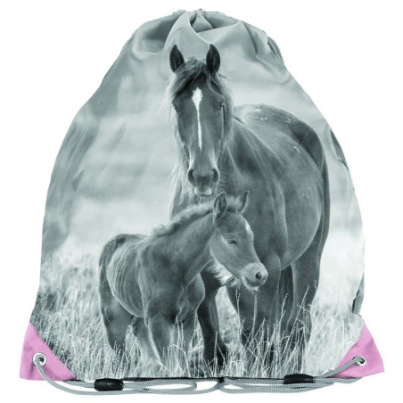 Worek na obuwie PASO Horse 34x39