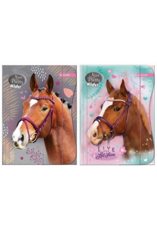 Teczka z gumką A4 BENIAMIN Nice&Pretty Live