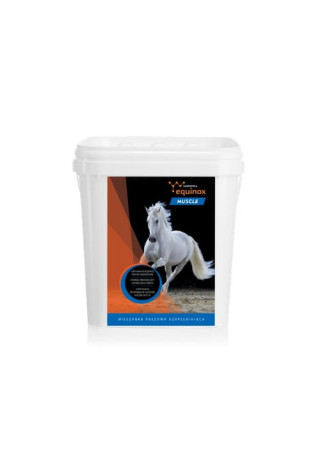 Suplement YARROWIA Equinox Muscle 3kg granulat