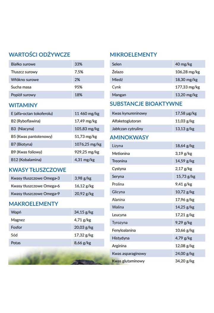 Suplement YARROWIA Equinox Muscle 3kg granulat