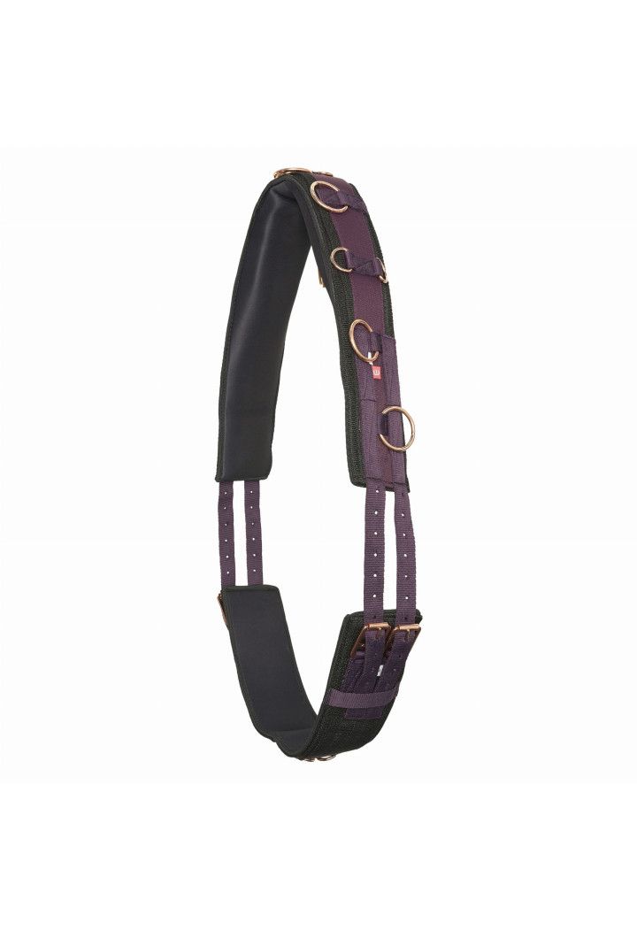 Pas do lonżowania Imperial Riding Deluxe Extra